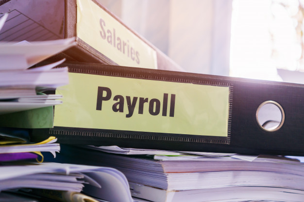 Payroll software: Do you need payroll software? - Experlu