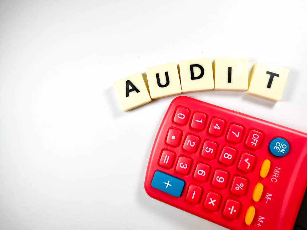 Statutory audit Definition, examples, and types Experlu