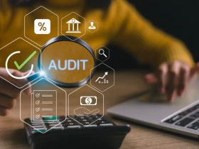Auditor