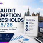 UK Audit Exemption Thresholds