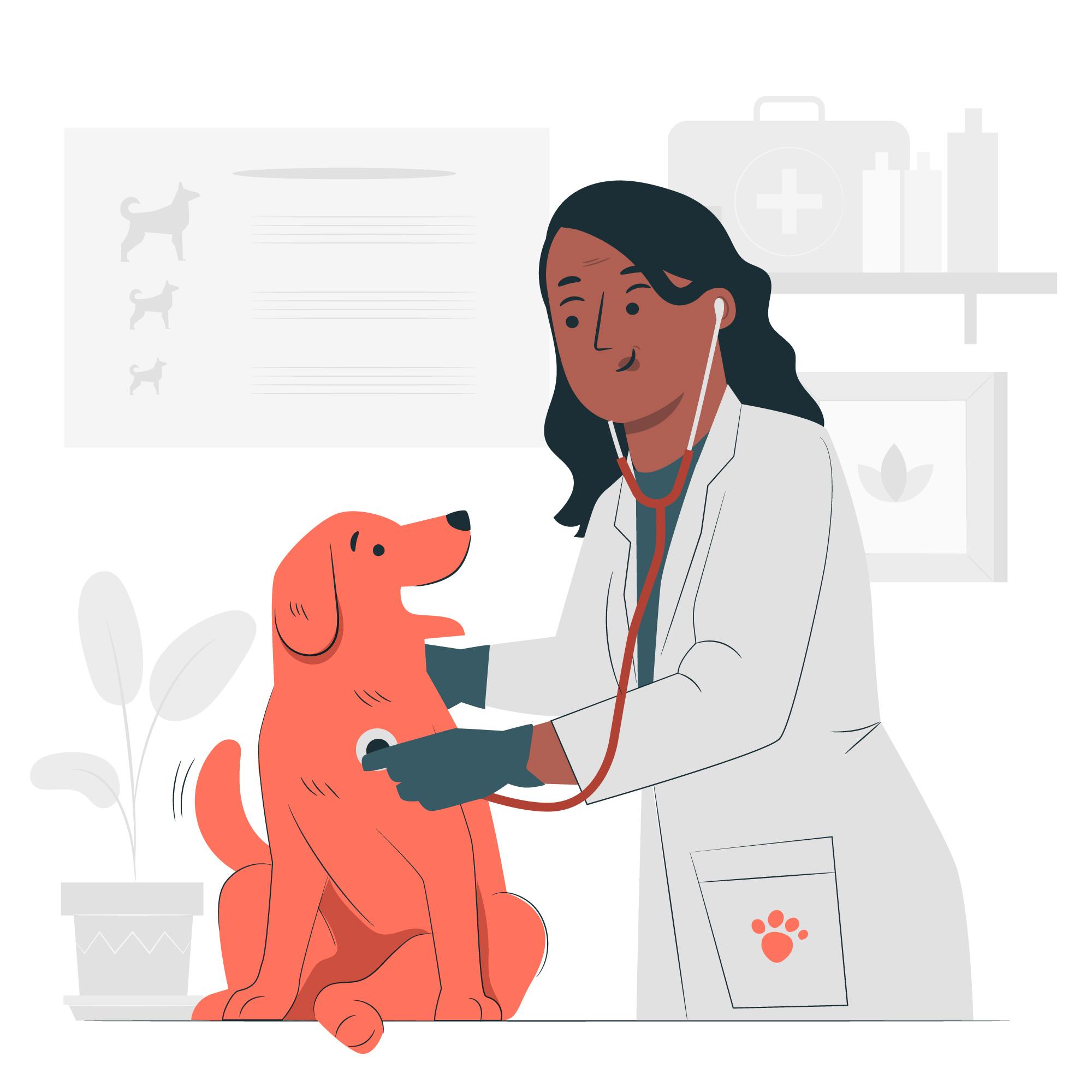 Veterinary Accountants